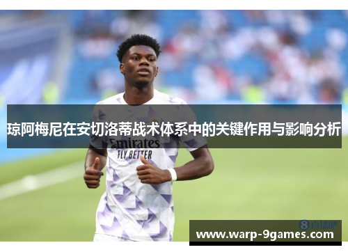 琼阿梅尼在安切洛蒂战术体系中的关键作用与影响分析